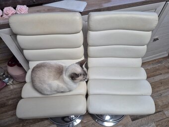 Bílé kožené barové židle barovky - 2