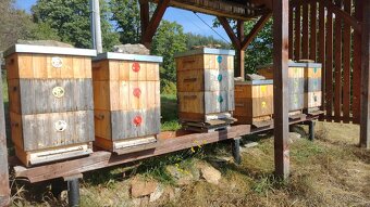 Včelstva (6) - včely s úly 39 x 24 cm - 2