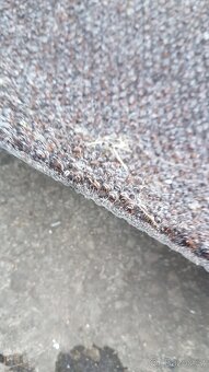 Kvalitní a těžký koberec do prodejny - 2