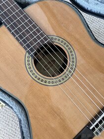 Akustická kytara Washburn C80S s pouzdrem - 2