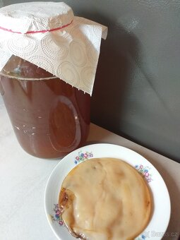 Kombucha - 2