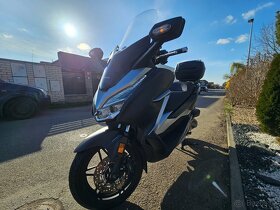 Honda Forza 300 r.v.2020 - 2