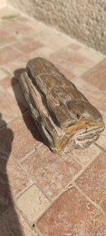 Zkamenělé dřevo – nález Žatecko, 4 kg, pěti barevné - 2