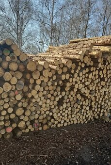 Prodám dřevo - 2