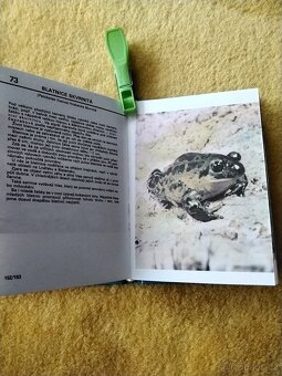 Atlas ryb a plazu - 2