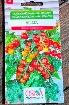 PŘEBYTEK SAZENIC RAJČAT keříčkové, balkonové - Vilma - 2