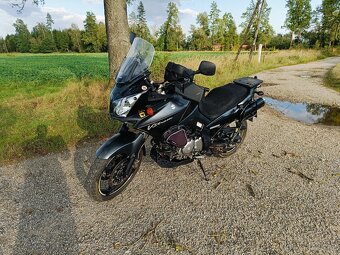 Suzuki DL 650 V-strom - 2