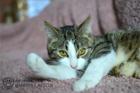 Lumity ❤ největší mazel ❤ - 2