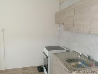 Pronájem bytu 1+1, Břidličná - 2