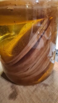 Kombucha + návod - 2