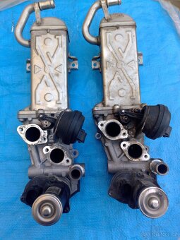 EGR Cayc Octavia 2 - 2