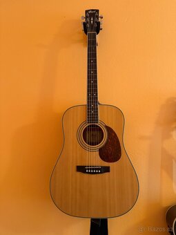 Cort earth 70E W NS - 2