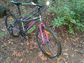 Author ultima 24 - 2