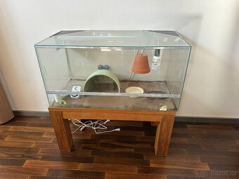 terarium pro želvu - 2