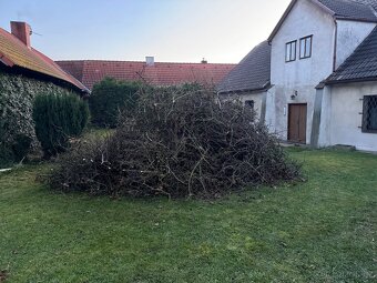 Daruji větve za odvoz Příbram - 2
