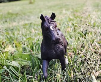 Custom schleich - 2