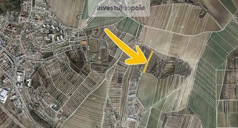 Prodej lesních pozemků v k.ú. Vícemilice - 2