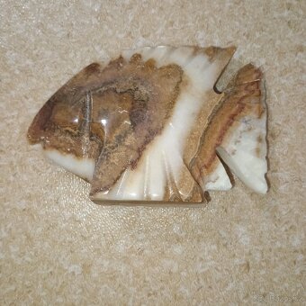 Rybka onyx - 2