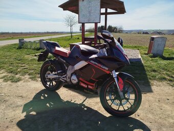 Derbi GPR 125 racing 2t - 2