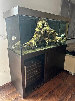 Prodám zařízené akvárium - 2