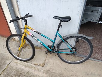 Kolo KING a LINCOLN - 2