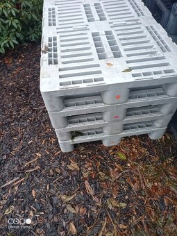 Potravinářské palety H1 - 2