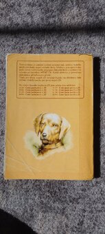 Český jazyk pro 7. ročník - 2