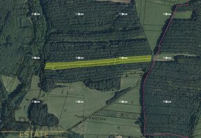 Aukce 0,52 ha lesních pozemků v k.ú. Doubravy - 2
