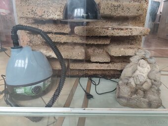 Terarium - 2