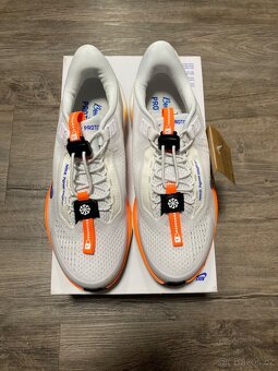 Nike Pegasus Easy On FP - 2