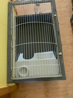 KLEC PRO KRÁLÍKA - 2