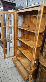 Knihovna borovice - 2