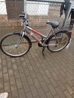 Horské kolo olpran - 2