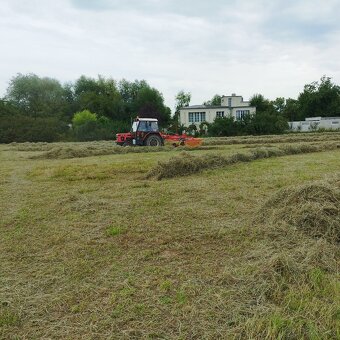 Prodám malé hranaté balíky sena - 2