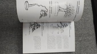 Bonsai nejen v paneláku - 2