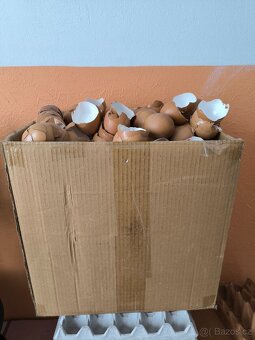 Plata a obaly na vajíčka+velká krabice suchých skořápek - 2
