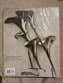 Kniha Man Ray - Taschen (foto publikace) - 2
