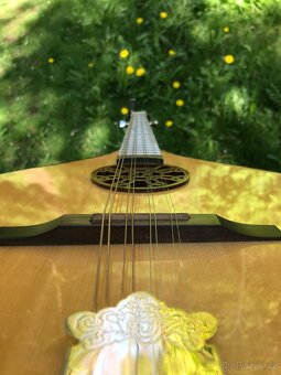Irish Bouzouki - 2