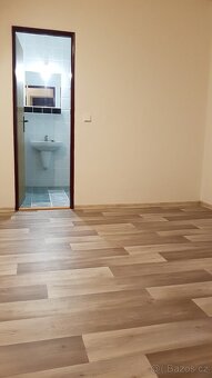 Pronájem apartmánu v centru Břeclavi - 2