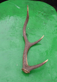 Parohy troje velmi staré - 2