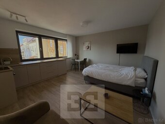 Pronájem bytu 1+kk 27 m², České Budějovice 6, ev.č. N08663 - 2