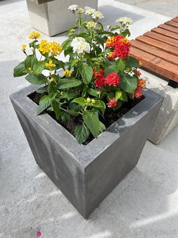 Betonové květináče - 2