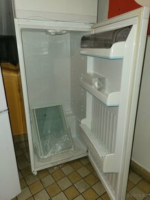 Lednička Ardo 176 cm 319 l (lednice chladnička) - 2