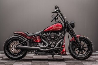 2021 Harley Davidson Softail Custom - 2