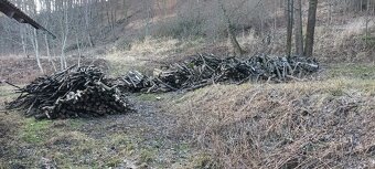 Palivové dřevo - 2
