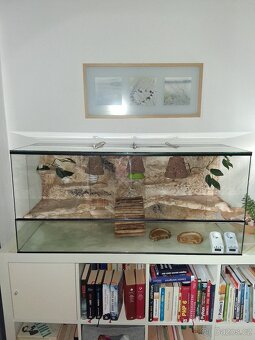 Terárium 110x50x40 cm - 2