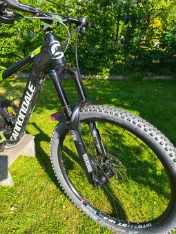 Cannondale Jekyll - 2