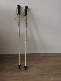 Lyžařské hole - 2