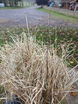 Seno z Vysočiny s dopravou - 2