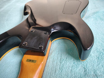 MBernard (Mason Bernerd - B.C.Rich) - 2